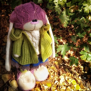 Pode incluir: Um brinquedo de coelho de croch&ecirc; com um chap&eacute;u rosa e roxo, uma jaqueta verde e sapatos brancos. O coelho est&aacute; sentado em um leito de folhas de outono.