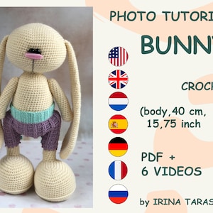 May include: Crochet bunny pattern photo tutorial in English, French, German, Dutch, Spanish, Russian.  The pattern includes a PDF and 6 videos. The bunny is beige with a purple and teal outfit. The bunny is 15.75 inches tall.