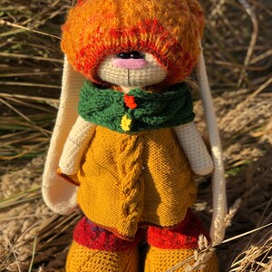 K&ouml;nnte beinhalten: Ein geh&auml;keltes H&auml;schen, das einen gr&uuml;nen Schal, einen orangefarbenen Hut und einen gelben Pullover mit Zopfmuster tr&auml;gt. Das H&auml;schen steht in einem Feld mit trockenem Gras.