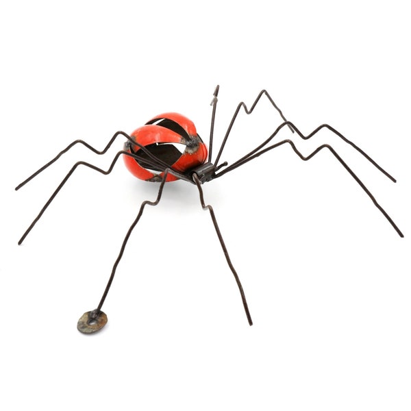 Spinne