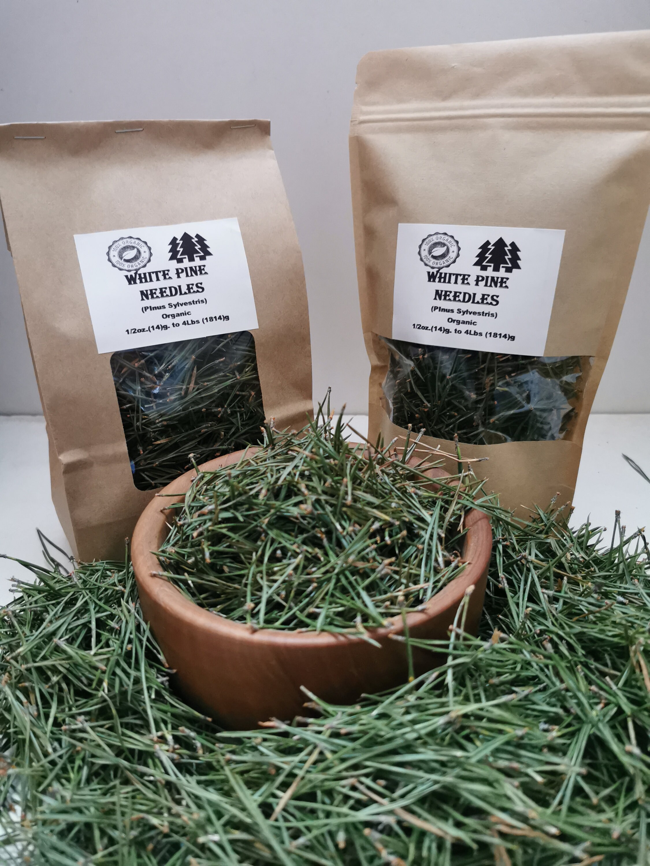 Organic White Pine Needle Tea Pinus Sylvestris Fresh Pine Etsy Canada