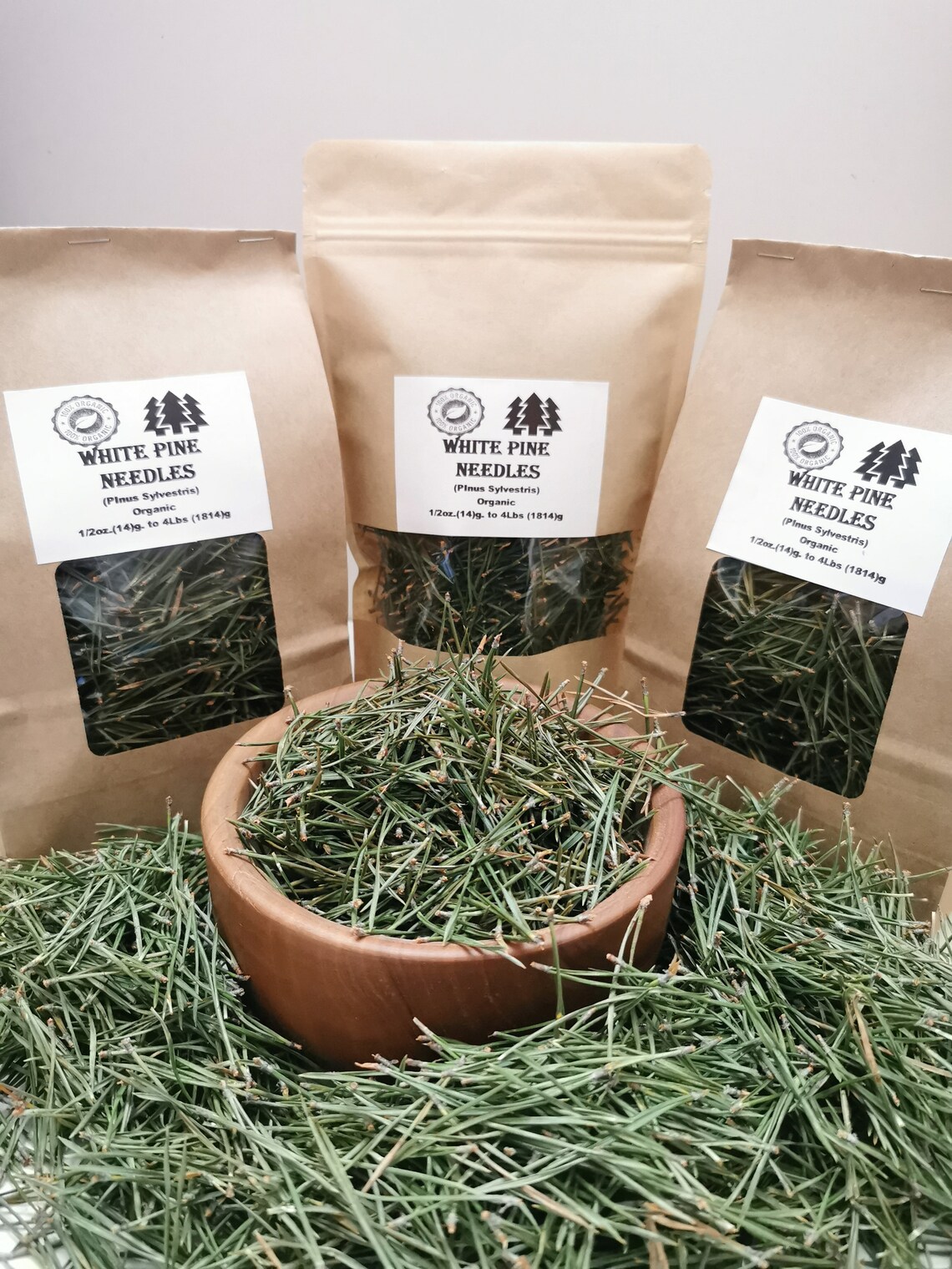 Organic White Pine Needle Tea Pinus Sylvestris Fresh Pine Etsy Canada