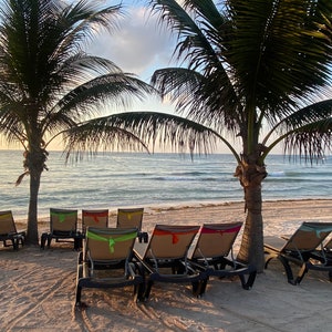 May include: Beach scene with palm trees, sand, and several lounge chairs. The chairs have colorful accents and face the ocean under a cloudy sky. The scene evokes relaxation and tropical vibes.