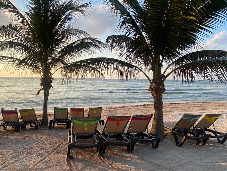 May include: Beach scene with palm trees, sand, and several lounge chairs. The chairs have colorful accents and face the ocean under a cloudy sky. The scene evokes relaxation and tropical vibes.