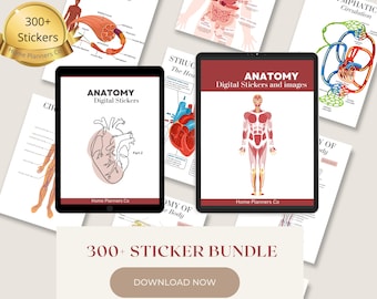 300+ Anatomy Stickers Bundle, Anatomy Organ Images, GoodNotes Stickers, Digital Stickers, PNG Stickers For Study, Planning and Note-taking