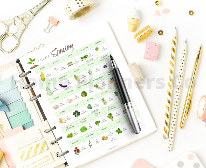 Puede incluir: Un planificador de jard&iacute;n imprimible con un fondo verde y una lista de plantas con sus requisitos de espacio. Las plantas est&aacute;n ilustradas con dibujos de acuarela. El t&iacute;tulo del planificador es "Plant Spacing" y la palabra "Spring" est&aacute; escrita en una fuente decorativa.