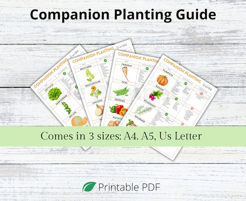 Puede incluir: Una gu&iacute;a de plantaci&oacute;n de acompa&ntilde;amiento imprimible para jardineros. La gu&iacute;a presenta una cuadr&iacute;cula con diferentes verduras y hierbas, indicando qu&eacute; plantas son buenas compa&ntilde;eras y cu&aacute;les deben evitarse. La gu&iacute;a est&aacute; disponible en tres tama&ntilde;os: A4, A5 y US Letter.