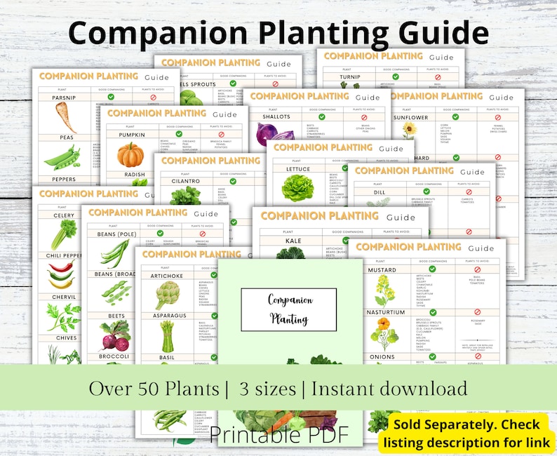 Companion Planting Guide for Herbs, Garden Herb Organizer, Plant Guide, Planting Log, Garden Planner, Garden Planning Chart, Garden Journal image 4