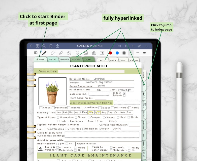 Pu&ograve; includere: Una pagina di un planner digitale con una scheda di profilo di pianta per la lavanda. La scheda include informazioni sul nome botanico della pianta, la variet&agrave;, il colore e altri dettagli. La pagina fa parte di un planner da giardino digitale pi&ugrave; ampio.