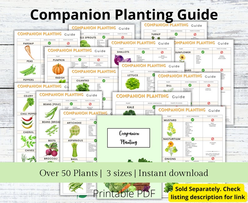 Puede incluir: Una gu&iacute;a de plantaci&oacute;n complementaria imprimible con m&aacute;s de 50 plantas. La gu&iacute;a est&aacute; dividida en secciones con diferentes plantas y su compatibilidad entre s&iacute;. La gu&iacute;a est&aacute; ilustrada con dibujos de acuarela de las plantas.