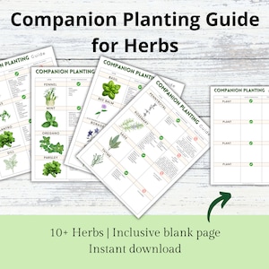 Companion Planting Guide for Herbs, Garden Herb Organizer, Plant Guide, Planting Log, Garden Planner, Garden Planning Chart, Garden Journal image 2
