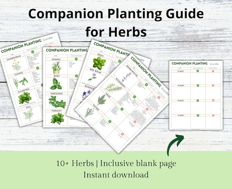 Companion Planting Guide for Herbs, Garden Herb Organizer, Plant Guide, Planting Log, Garden Planner, Garden Planning Chart, Garden Journal image 2