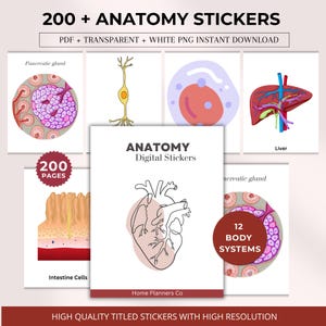 Puede incluir: Conjunto de pegatinas digitales de anatomía con ilustraciones de partes del cuerpo y células. La imagen incluye el texto "200 + ANATOMY STICKERS" y "ANATOMY Digital Stickers". Descarga instantánea en PDF y PNG.