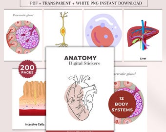 200+ Anatomy Stickers Bundle, Anatomy Images,GoodNotes Stickers,Nursing Sticker Bundle. Digital Sticker Sheet For Science, Biology, Anatomy