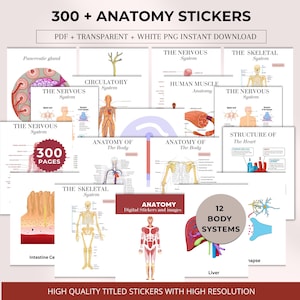 May include: Anatomy stickers featuring diagrams of the human body systems. The image includes the text "300 + ANATOMY STICKERS" and "12 BODY SYSTEMS". Diagrams of the nervous, skeletal, and circulatory systems are visible, along with the heart and liver.