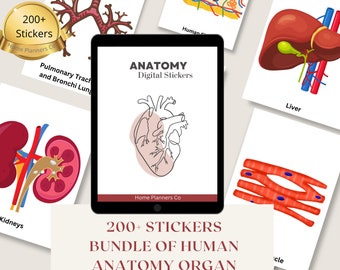 200+ Anatomy Stickers Bundle, Anatomy Images,GoodNotes Stickers,Nursing Sticker Bundle. Digital Sticker Sheet For Science, Biology, Anatomy