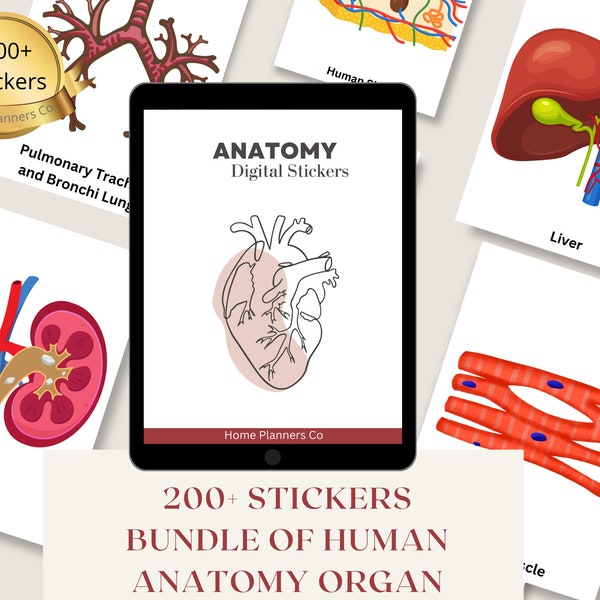 Über 200 Anatomie-Aufkleber-Paket, Anatomie-Bilder, GoodNotes-Aufkleber, Krankenpflege-Aufkleber-Paket. Digitaler Stickerbogen für Wissenschaft, Biologie, Anatomie