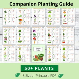 Companion Planting Guide, Garden Organizer, Plant Guide, Plant Planner, Planting Log, Garden Planner, Garden Planning Chart, Garden Journal