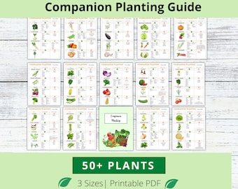 Guía de plantas complementarias, Organizador de jardín, Guía de plantas, Planificador de plantas, Registro de plantación, Planificador de jardín, Cuadro de planificación de jardín, Diario de jardín