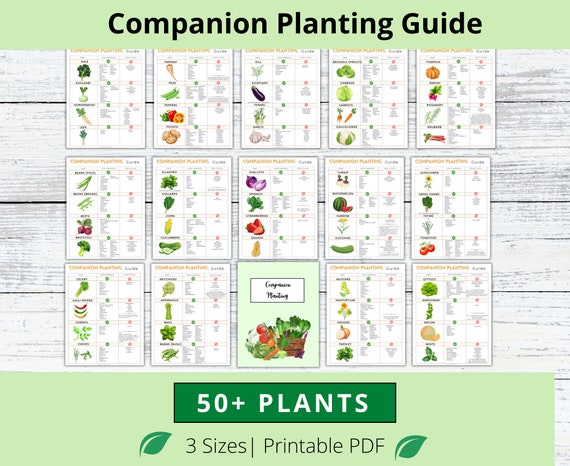 Companion Planting Guide, Garden Organizer, Plant Guide, Plant Planner, Planting Log, Garden Planner, Garden Planning Chart, Garden Journal