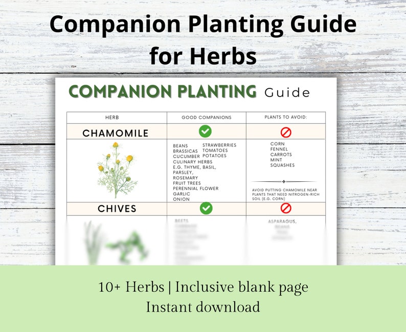 Companion Planting Guide for Herbs, Garden Herb Organizer, Plant Guide, Planting Log, Garden Planner, Garden Planning Chart, Garden Journal image 3