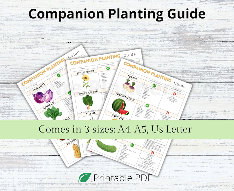 Puede incluir: Una gu&iacute;a de plantaci&oacute;n complementaria imprimible con ilustraciones de varias plantas, incluyendo girasoles, acelgas, chalotes, espinacas, nabos, sand&iacute;as y milenrama. La gu&iacute;a est&aacute; disponible en tres tama&ntilde;os: A4, A5 y US Letter.