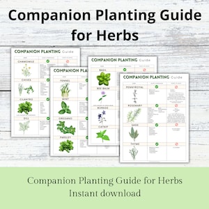 Begeleidende plantgids voor kruiden, tuinkruidenorganisator, plantengids, plantlogboek, tuinplanner, tuinplanningsgrafiek, tuindagboek