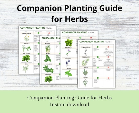 Companion Planting Guide for Herbs, Garden Herb Organizer, Plant Guide,  Planting Log, Garden Planner, Garden Planning Chart, Garden Journal