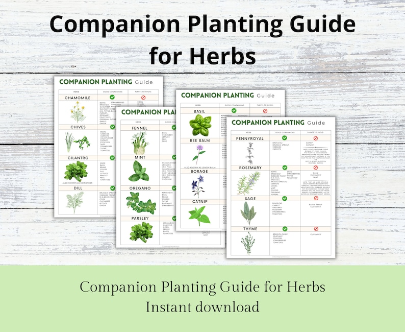 Companion Planting Guide for Herbs, Garden Herb Organizer, Plant Guide, Planting Log, Garden Planner, Garden Planning Chart, Garden Journal image 1