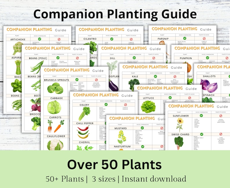 Puede incluir: Una gu&iacute;a de plantaci&oacute;n complementaria con m&aacute;s de 50 plantas. La gu&iacute;a est&aacute; organizada en una cuadr&iacute;cula, con cada planta listada en un cuadrado separado. La gu&iacute;a incluye una lista de buenos compa&ntilde;eros y plantas que se deben evitar para cada planta.