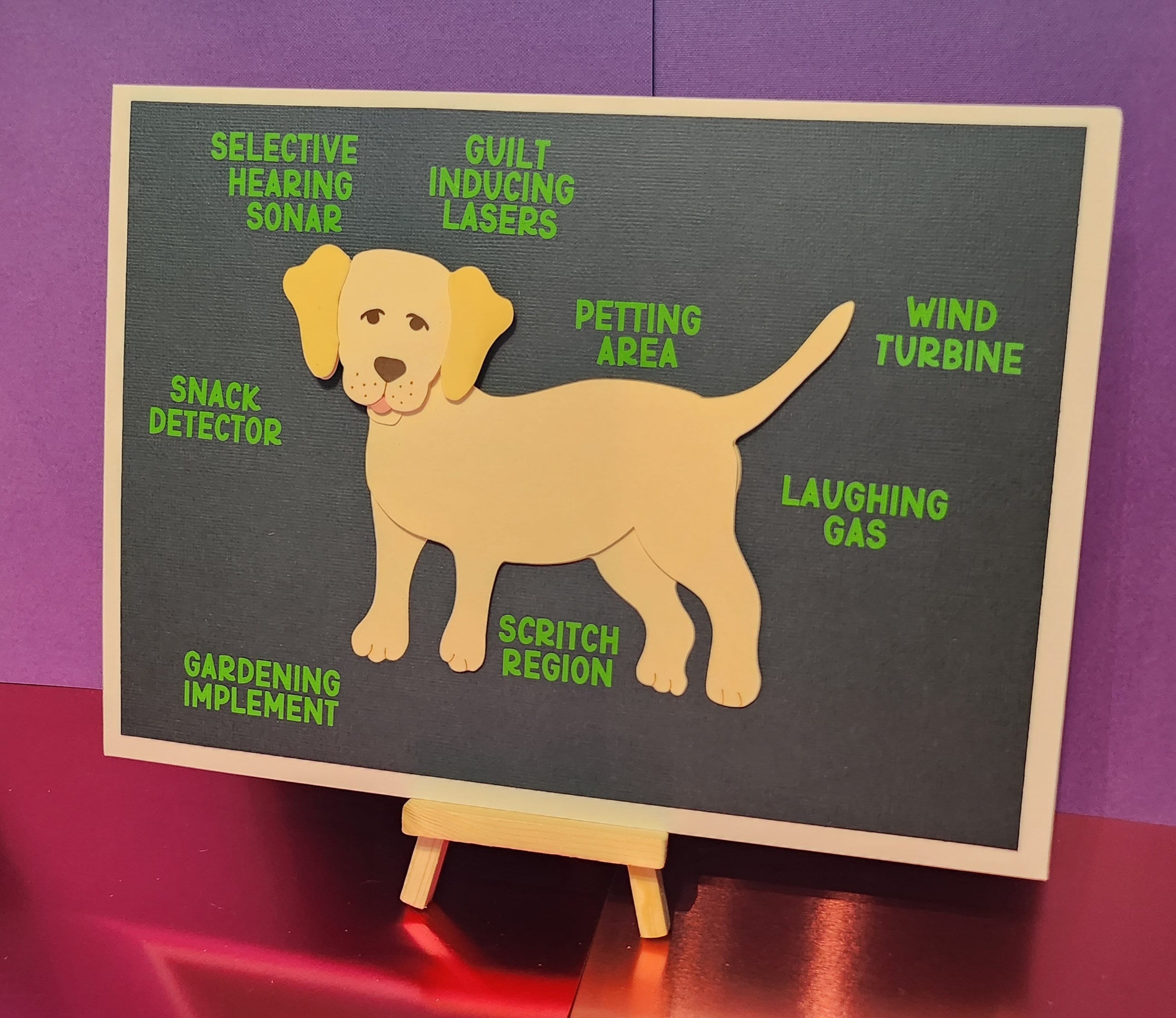 Labrador 'anatomy Of' Layered Golden Labrador Dog Funny Handmade ...