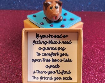 Guinea pig, cava, handmade polymer clay 'little box of piggles' mini ornament with sentiment message