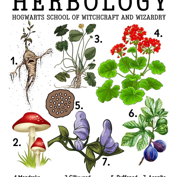Herbology Etsy