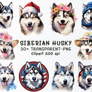 Siberian Husky Dog Png Clipart Bundle | Siberian Husky Png File, Dogs Png ClipArt, Husky Watercolor Puppy, Dog Breed Decal Transparent Png