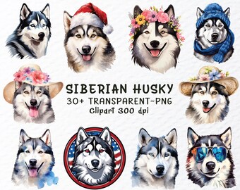Può includere: Un set di oltre 30 immagini clipart digitali di Siberian Husky in varie pose e con diversi accessori. Le immagini sono in formato PNG e hanno una risoluzione di 300 dpi. Gli Husky sono rappresentati in stile acquerello e presentano una varietà di colori, tra cui blu, bianco, marrone e nero.