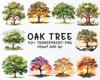 Oak Tree Clipart Bundle, Forest Plant PNG, Nature Leaves Clipart, Woodland Botanical Design