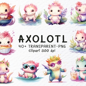 Axolotl Clipart Png Bundle, Watercolor Axolotl Png Files, Sea Animal Clipart, Axolotl Birthday Png, Cute Axolotl Decal, Transparent Clipart