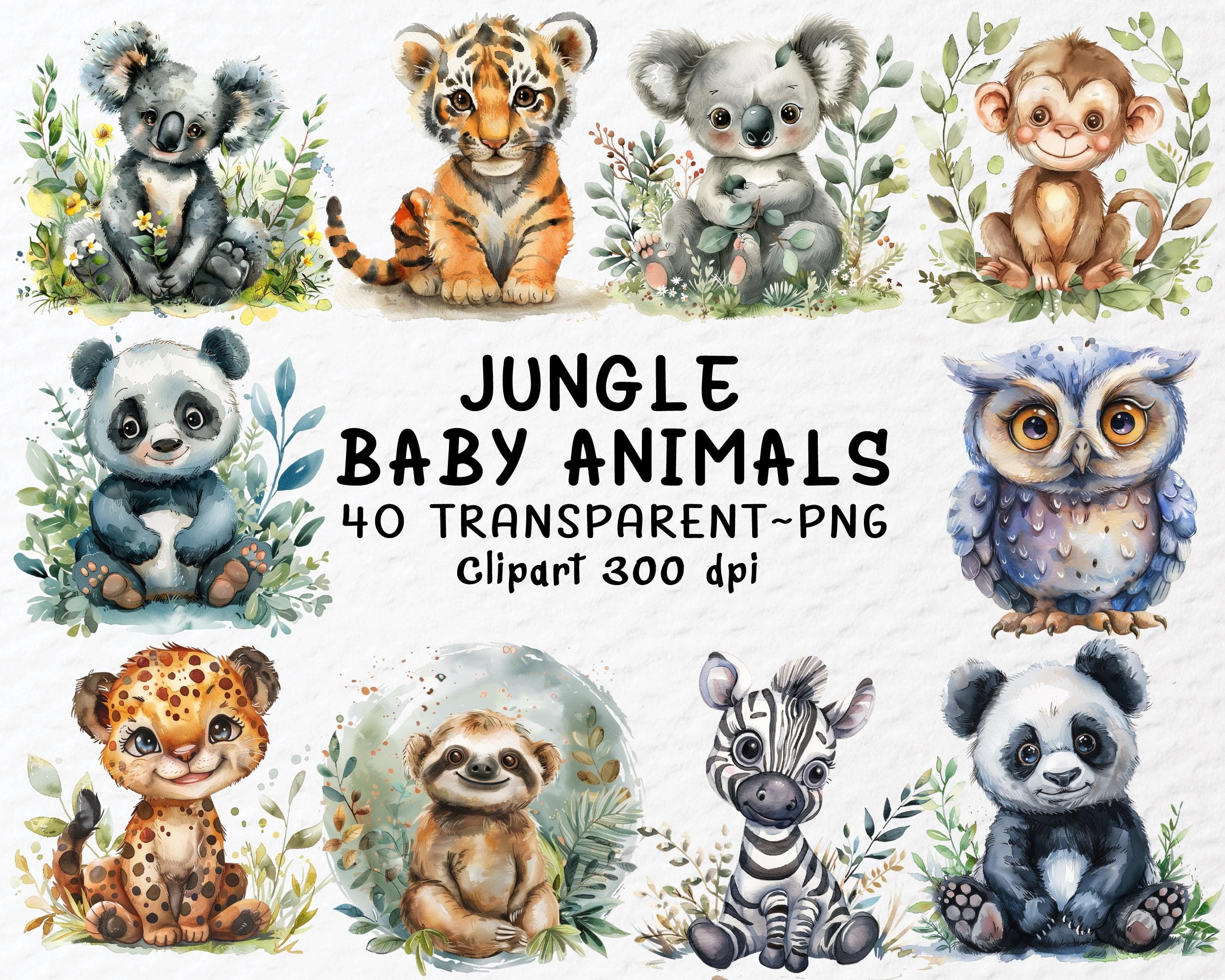 Jungle Baby Animals PNG Clipart Bundle, Safari Nursery Animals Design ...
