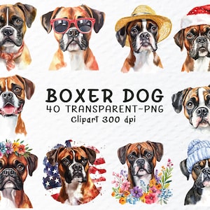 Boxer Dog Png Clipart Bundle | Boxer Dog Decal Png Files | Boxer Dogs Png Clip Art | Watercolor Boxer Puppy, Dog Breed Transparent Png Files