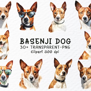 Basenji Hund Png Clipart Bundle | Basenji Aufkleber Png-Dateien, Hunde Png ClipArt, Aquarell Basenji Welpe, Hunderasse Aufkleber Transparente Png-Design