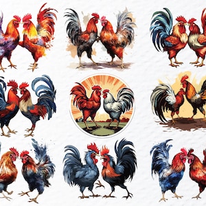 cockfighting png, fighting rooster png, rooster battle png, gamefowl clipart, rooster art png, traditional sport png, vintage rooster png, cultural art png, rooster illustration, fighting cock png, rural tradition png, farm rooster png, heritage art png, rooster design png, classic rooster png, animal illustration, folklore art png, rustic rooster png, rooster symbol png, old sport art png