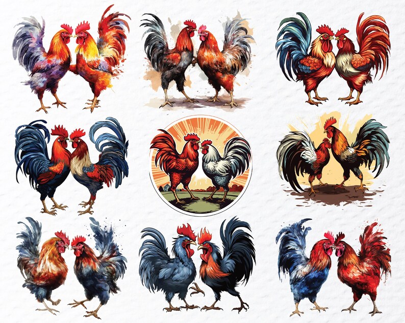 cockfighting png, fighting rooster png, rooster battle png, gamefowl clipart, rooster art png, traditional sport png, vintage rooster png, cultural art png, rooster illustration, fighting cock png, rural tradition png, farm rooster png, heritage art png, rooster design png, classic rooster png, animal illustration, folklore art png, rustic rooster png, rooster symbol png, old sport art png