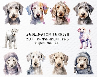 Watercolor Bedlington Terrier Dog Clipart Bundle (PNG Files)