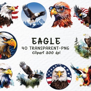 Aquarell Adler Png Clipart Bundle, Adler Png-Datei, Weißkopfseeadler Png, fliegender Adler Clipart, Adlergebirge, Adler Aufkleber, transparentes Clipart