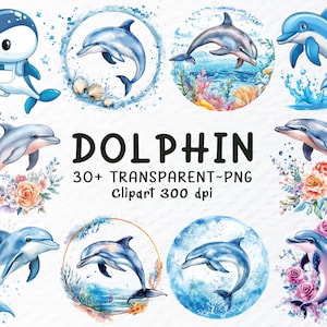 Bundle de cliparts dauphins aquarelle, fichiers Png dauphins, Png animaux de l'océan, sous la mer des cliparts, sticker dauphin, cliparts animaux Transparent