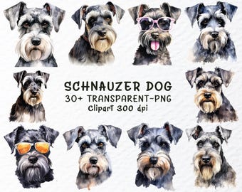 Watercolor Schnauzer Dog Clipart Bundle (PNG Digital Download)