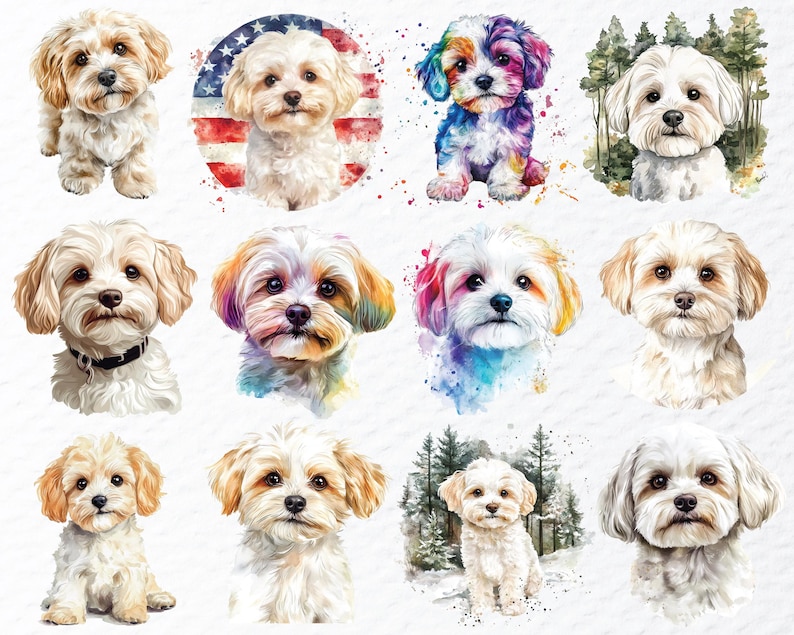 Watercolor Maltipoo Dog Clipart Bundle: Transparent PNG Design (digital ...