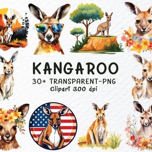 Kangaroo Png Clipart Bundle | Watercolor Kangaroo Png Files | Australian Animal Clipart | Safari, Kangaroo Decal, Transparent Animal Clipart