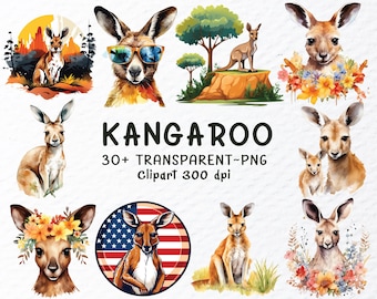 Watercolor Kangaroo Clipart Bundle: Australian Animal PNG Files (Digital Download)