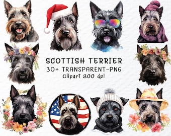 Scottish Terrier Watercolor Clipart Bundle: Dog Breed PNG Files (Digital Download)